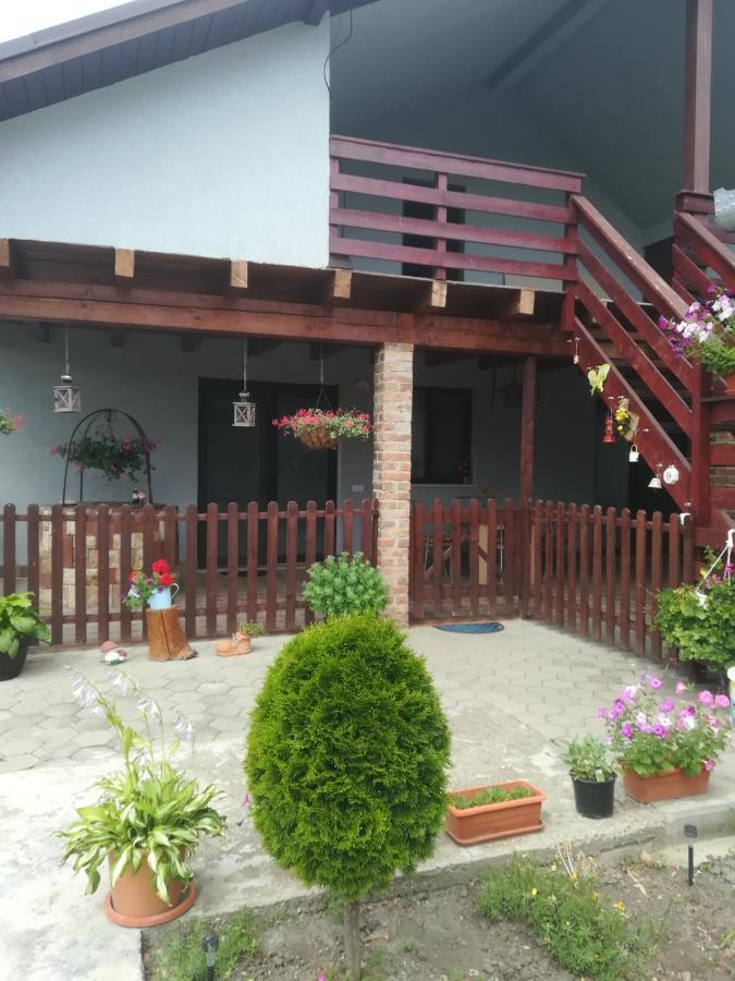 Casa Ricciotti Tritenii de Jos Exterior foto