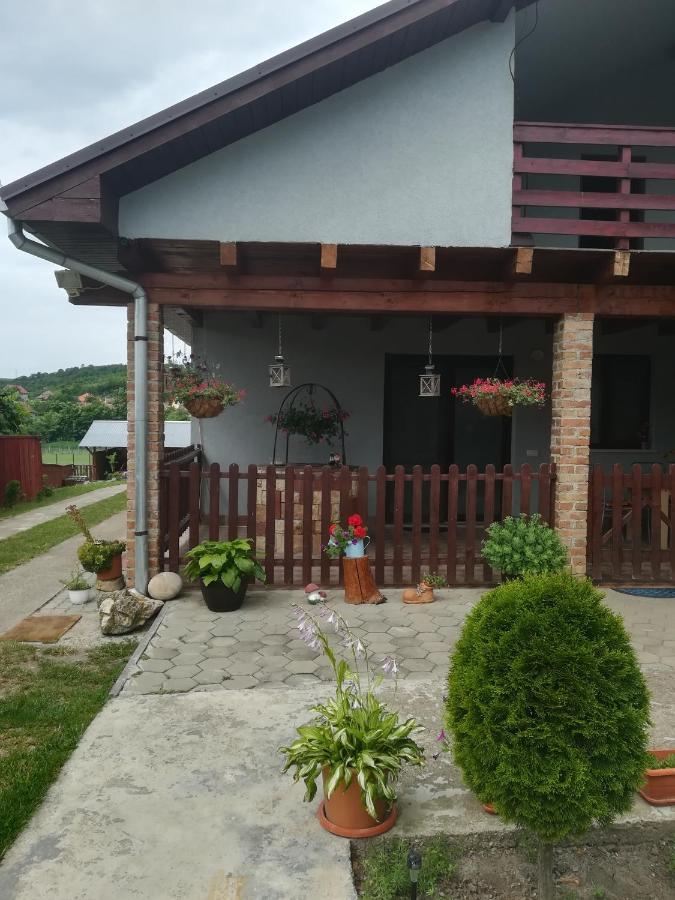 Casa Ricciotti Tritenii de Jos Exterior foto